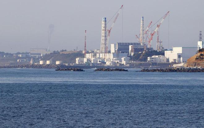 核污染水排放入海！影響有多大