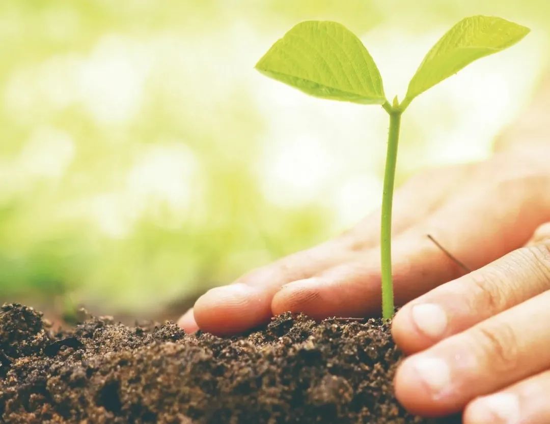 常見(jiàn)土壤地下水修復(fù)技術(shù)