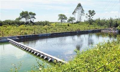 生活污水處理的主要步驟