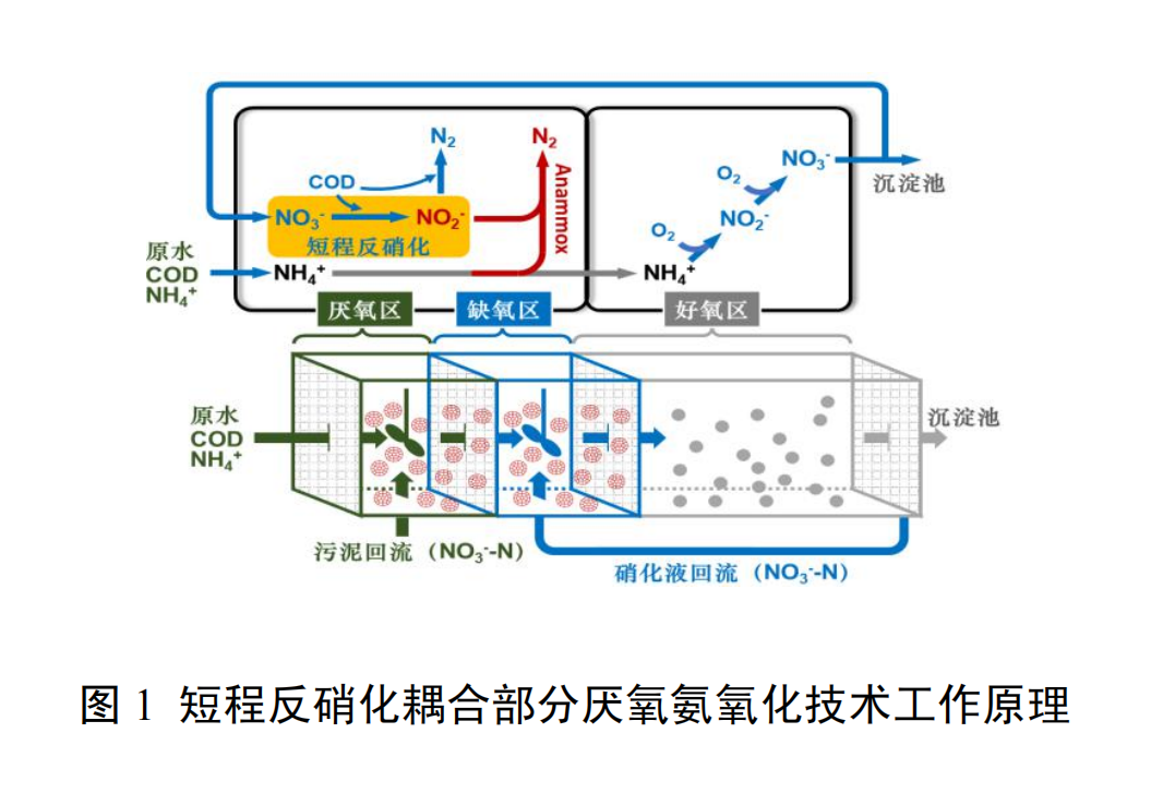 城市污水短程反硝化耦合部分厭氧氨氧化深度脫氮技術(shù)