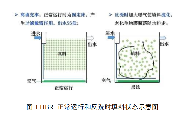 高效節(jié)地型生物膜污水凈化技術(shù)裝備
