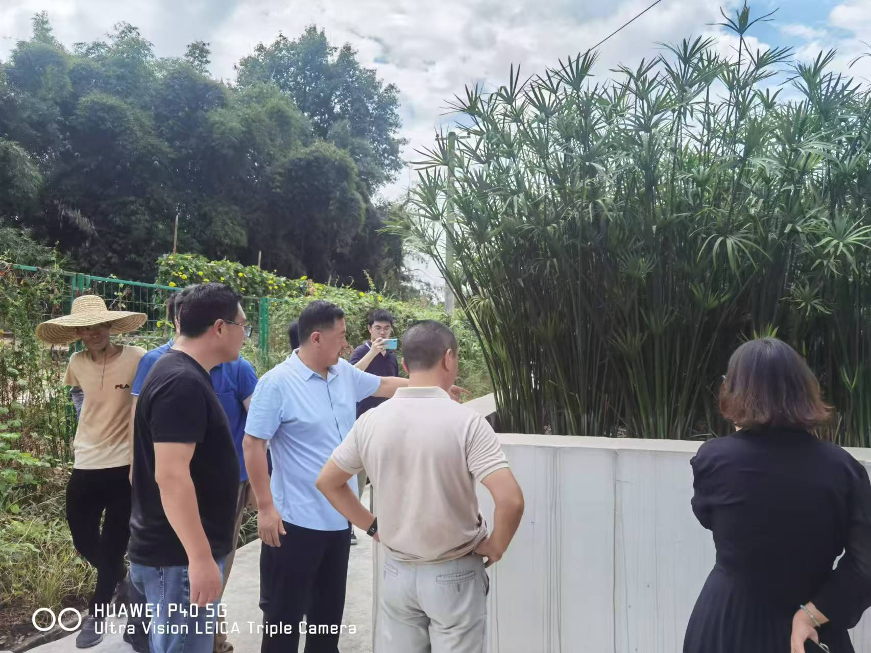 西彭運維站迎接環保局領導工作檢查