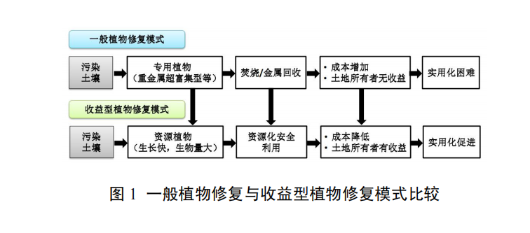 重金屬污染土壤蘆竹修復及生態板材制造技術