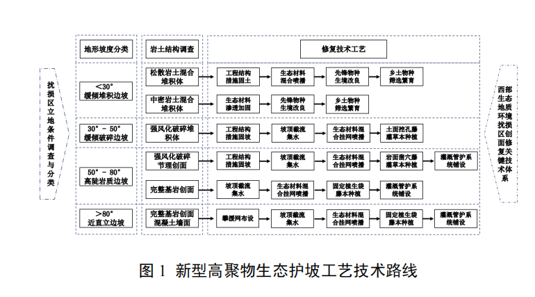 新型高聚物生態護坡技術