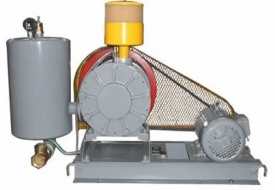 回轉(zhuǎn)式鼓風(fēng)機(jī)