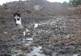 有機物污染土修復