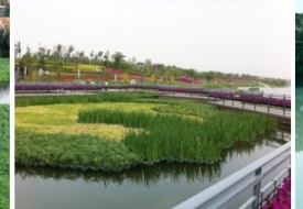 河湖水體水質污染治理生態(tài)系統保護與修復