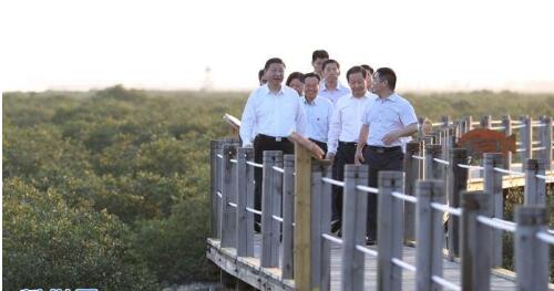 這五年，習近平引領生態環保帶來五大改變