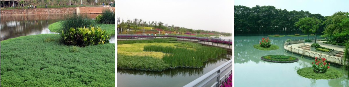 河湖水體水質(zhì)污染治理生態(tài)系統(tǒng)保護(hù)與修復(fù)