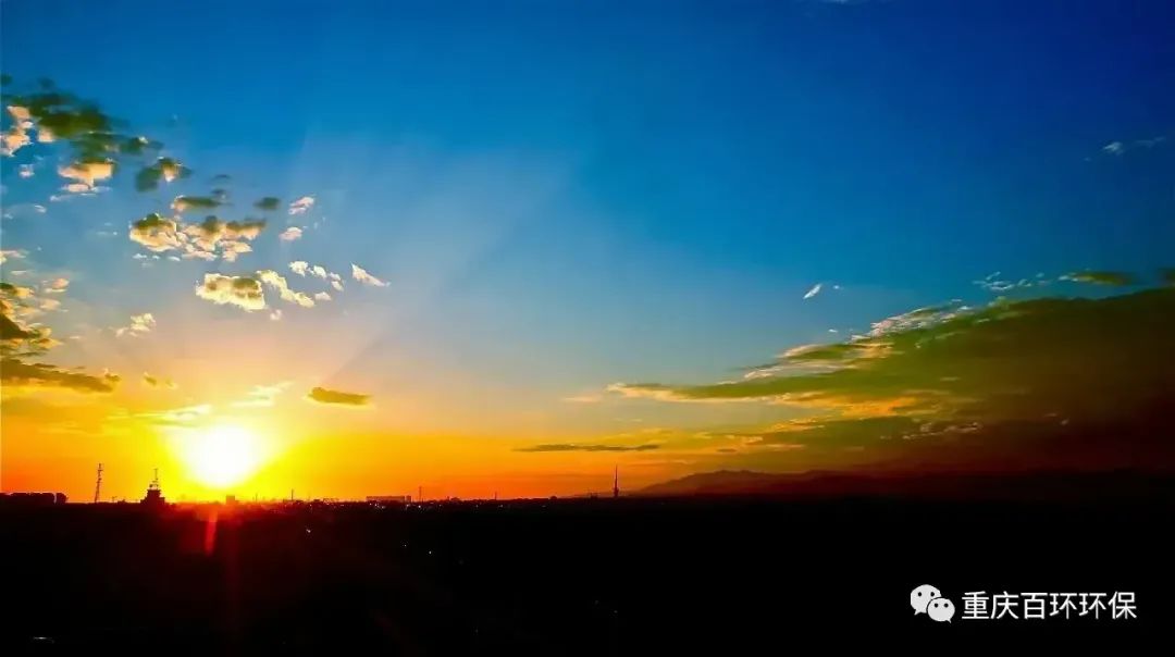 熬過疫情寒冬，迎來發展