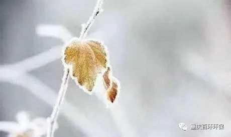 熬過疫情寒冬，迎來發展