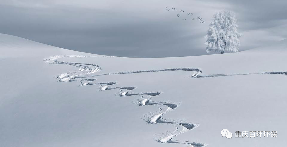 熬過疫情寒冬，迎來發展