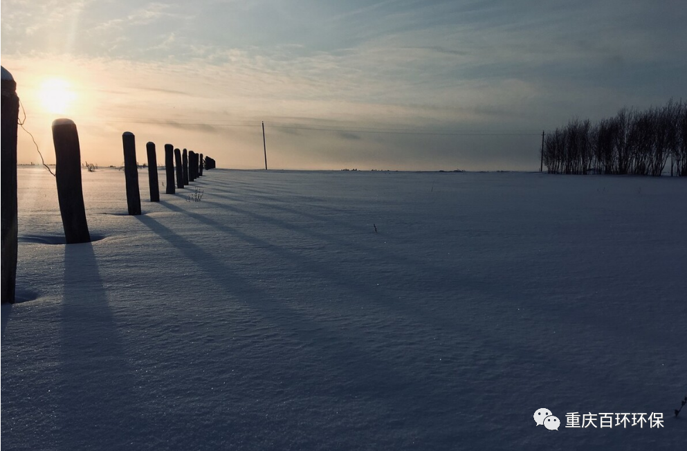 熬過疫情寒冬，迎來發展