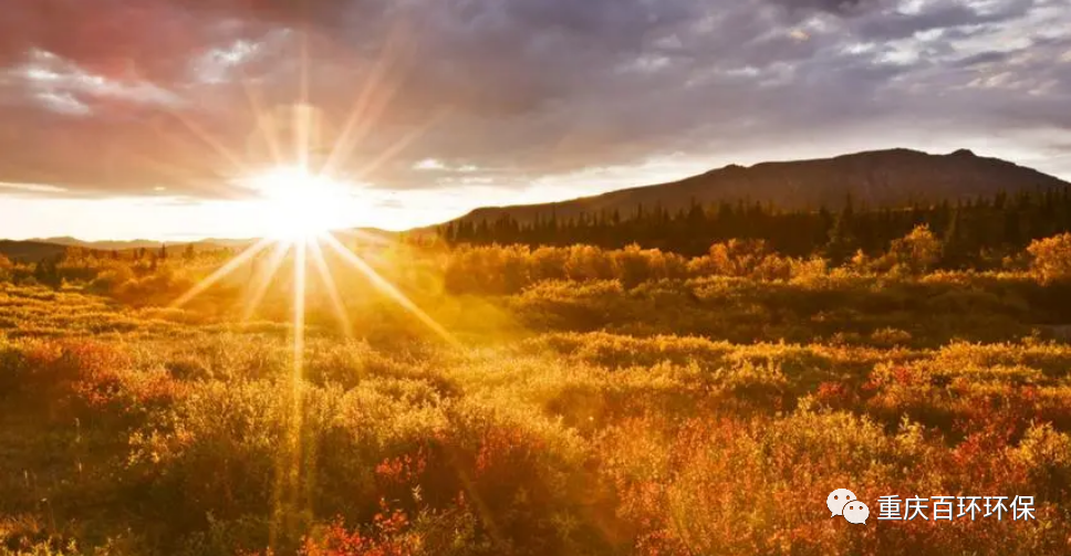 熬過疫情寒冬，迎來發展