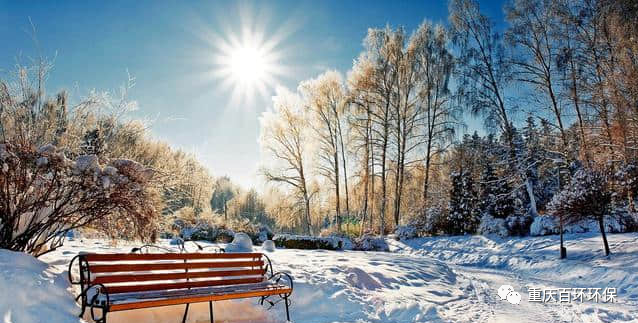 熬過疫情寒冬，迎來發展